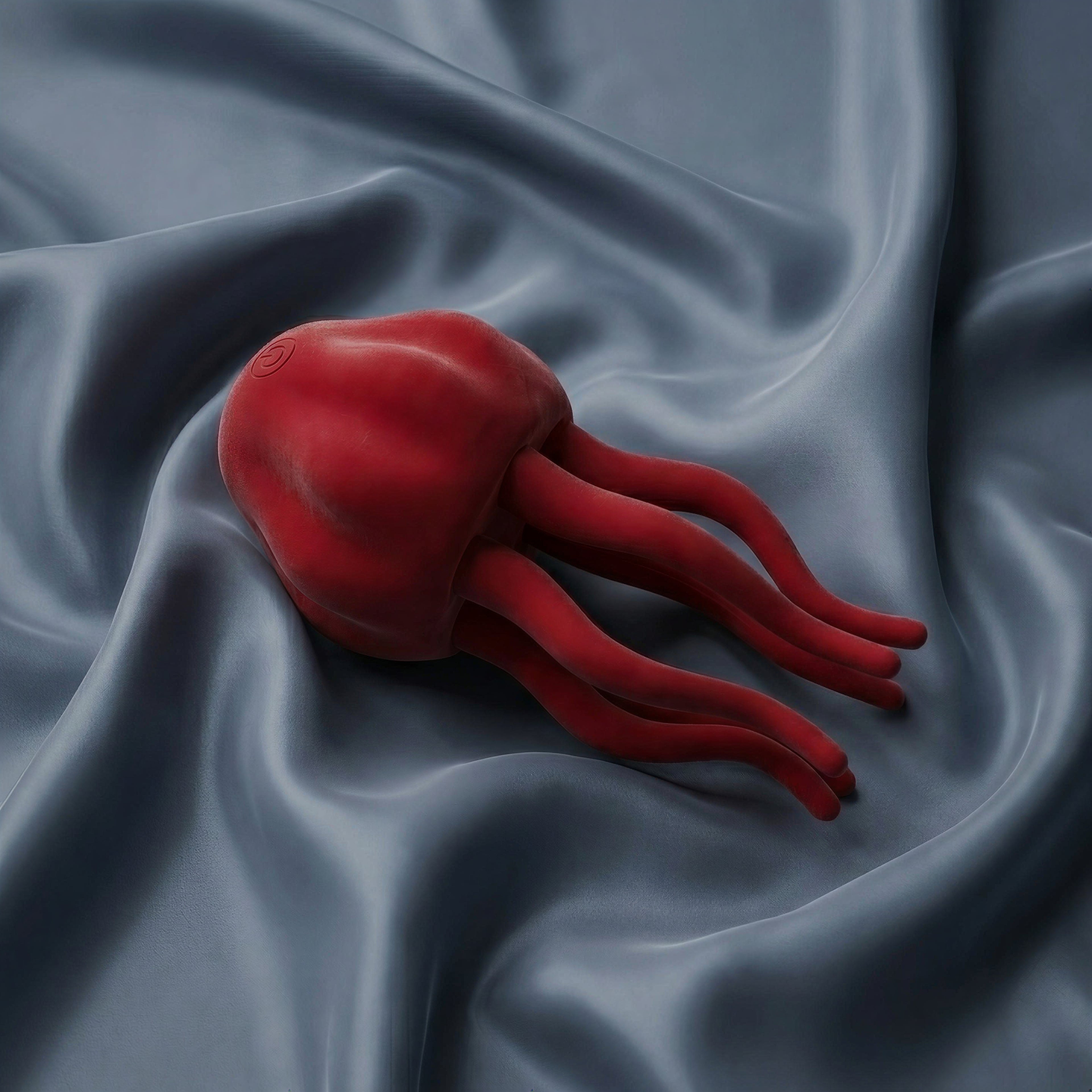 Small jellyfish