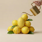 lemonSucking 10 frequencies/vibration